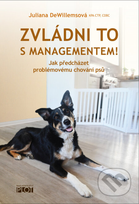 E-kniha: Zvládni to s managementem! (Juliana DeWillems). Plot, 2025 E-kniha: Zvládni to s managementem! (Juliana DeWillems). Plot, 2025