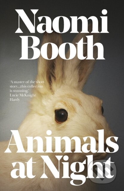 Kniha: Animals at Night (Naomi Booth). Dead Ink, 2022 Kniha: Animals at Night (Naomi Booth). Dead Ink, 2022