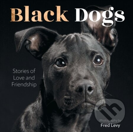 Kniha: Black Dogs (Fred Levy). Epic Ink, 2025 Kniha: Black Dogs (Fred Levy). Epic Ink, 2025