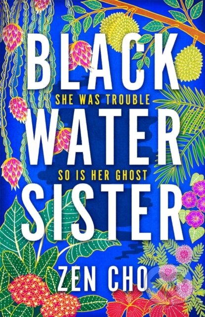 Kniha: Black Water Sister (Zen Cho). MacMillan, 2021 Kniha: Black Water Sister (Zen Cho). MacMillan, 2021
