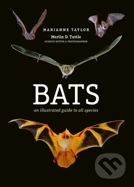 Kniha: Bats (Marianne Taylor). Ivy Press, 2019 Kniha: Bats (Marianne Taylor). Ivy Press, 2019