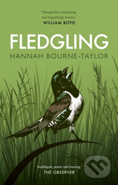 Kniha: Fledgling (Hannah Bourne-Taylor). Aurum, 2023 Kniha: Fledgling (Hannah Bourne-Taylor). Aurum, 2023
