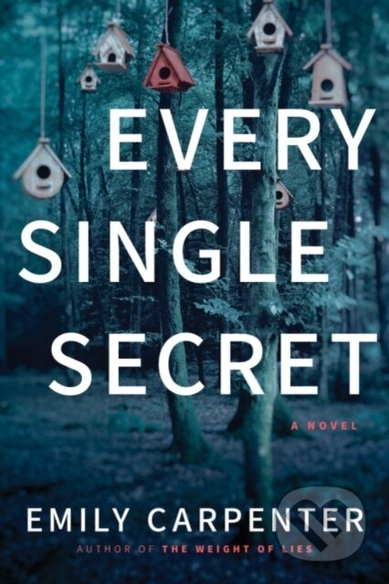 Kniha: Every Single Secret (Emily Carpenter). Lake Union Publishing, 2018 Kniha: Every Single Secret (Emily Carpenter). Lake Union Publishing, 2018