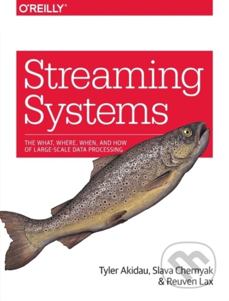 Kniha: Streaming Systems (Reuven Lax, Tyler Akidau a Slava Chernyak). O´Reilly, 2018 Kniha: Streaming Systems (Reuven Lax, Tyler Akidau a Slava Chernyak). O´Reilly, 2018