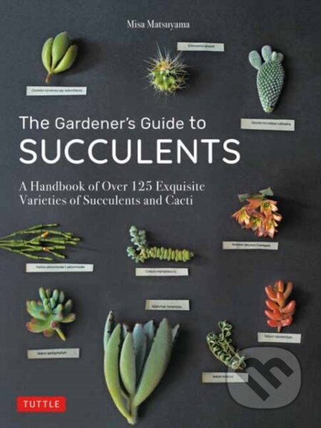 Kniha: The Gardener's Guide to Succulents (Misa Matsuyama). Tuttle Publishing, 2020 Kniha: The Gardener's Guide to Succulents (Misa Matsuyama). Tuttle Publishing, 2020