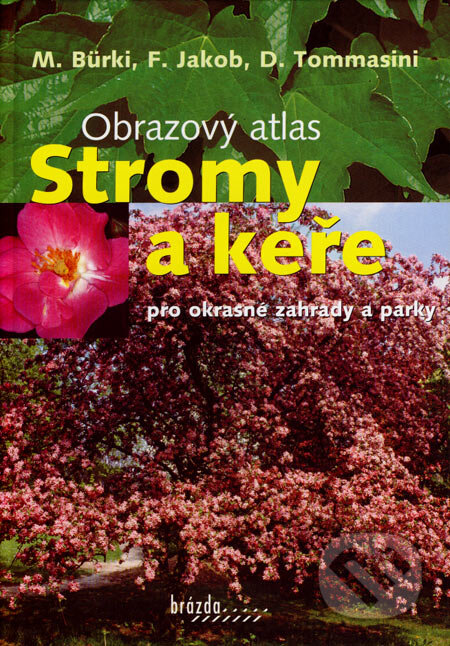 Kniha: Stromy a keře pro okrasné zahrady a parky (D. Tommasini, F. Jakob a M. Bürki). Brázda, 2007 Kniha: Stromy a keře pro okrasné zahrady a parky (D. Tommasini, F. Jakob a M. Bürki). Brázda, 2007