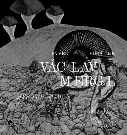Kniha: Václav Mergl – Mysterium hmoty (Pavel Horáček). Akademie múzických umění, 2026 Kniha: Václav Mergl – Mysterium hmoty (Pavel Horáček). Akademie múzických umění, 2026