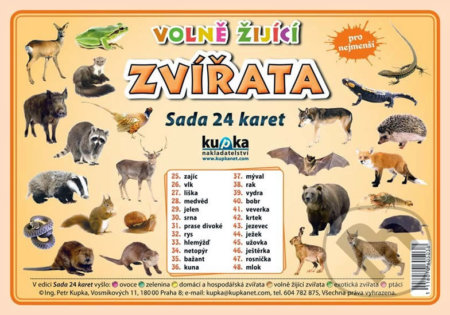 Kniha: Volně žijící zvířata - Sada 24 karet (Peter Kupka). Kupka, 2010 Kniha: Volně žijící zvířata - Sada 24 karet (Peter Kupka). Kupka, 2010