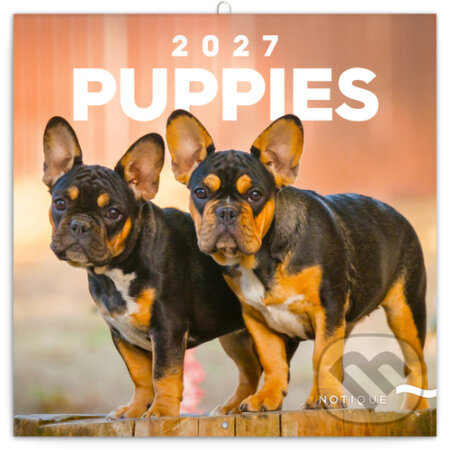 NOTIQUE Nástenný poznámkový kalendár Puppies (Šteňatá) 2027 (Notique). Notique, 2026 NOTIQUE Nástenný poznámkový kalendár Puppies (Šteňatá) 2027 (Notique). Notique, 2026