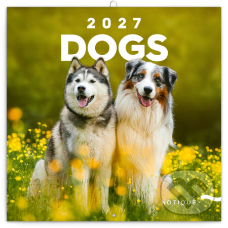 NOTIQUE Nástenný poznámkový kalendár Dogs (Psi) 2027 (Notique). Notique, 2026 NOTIQUE Nástenný poznámkový kalendár Dogs (Psi) 2027 (Notique). Notique, 2026