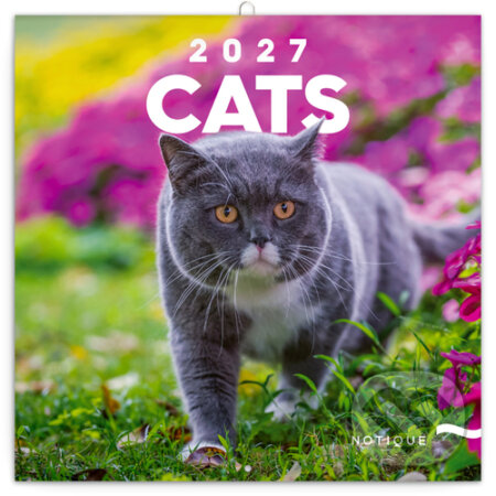 NOTIQUE Nástenný poznámkový kalendár Cats (Mačky) 2027 (Notique). Notique, 2026 NOTIQUE Nástenný poznámkový kalendár Cats (Mačky) 2027 (Notique). Notique, 2026