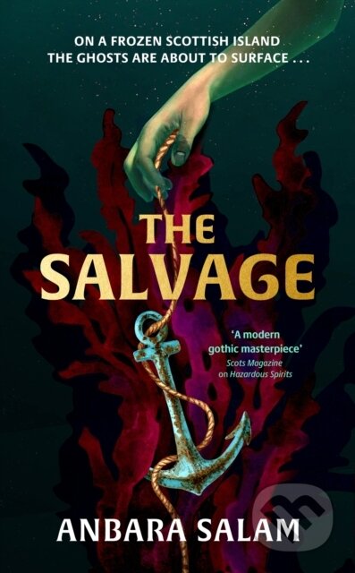 Kniha: The Salvage (Anbara Salam). Baskerville, 2025 Kniha: The Salvage (Anbara Salam). Baskerville, 2025