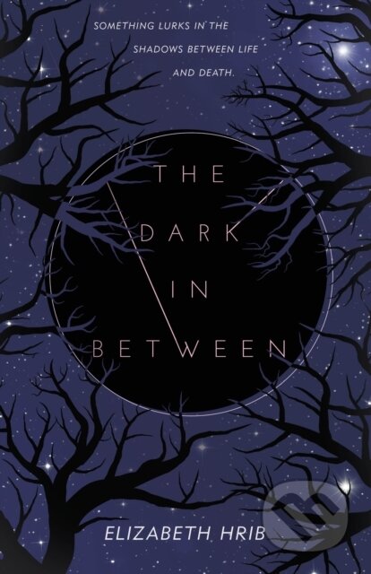 Kniha: The Dark In-Between (Elizabeth Hrib). Square Fish, 2025 Kniha: The Dark In-Between (Elizabeth Hrib). Square Fish, 2025
