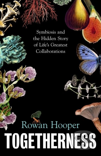 Kniha: Togetherness (Rowan Hooper). Vintage, 2026 Kniha: Togetherness (Rowan Hooper). Vintage, 2026
