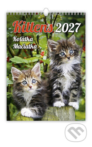 Koťátka 2027 - nástěnný kalendář (Helma). Helma, 2026 Koťátka 2027 - nástěnný kalendář (Helma). Helma, 2026