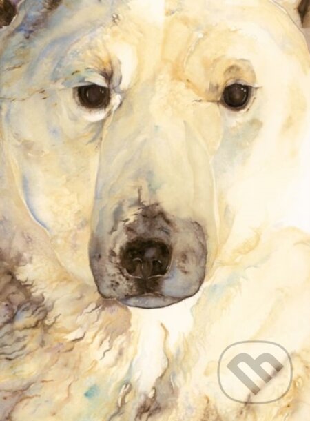 Kniha: Ice Bear, The - Artist Edition (Jackie Morris). , 2017 Kniha: Ice Bear, The - Artist Edition (Jackie Morris). , 2017
