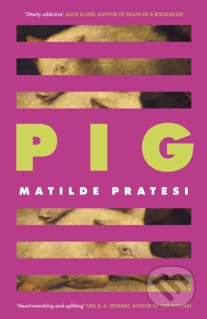 Kniha: Pig (Matilde Pratesi). Corsair, 2026 Kniha: Pig (Matilde Pratesi). Corsair, 2026