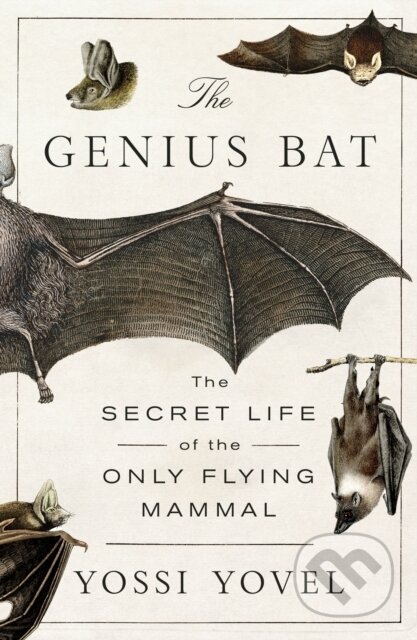 Kniha: Genius Bat (Yossi Yovel). St. Martins Griffin, 2026 Kniha: Genius Bat (Yossi Yovel). St. Martins Griffin, 2026