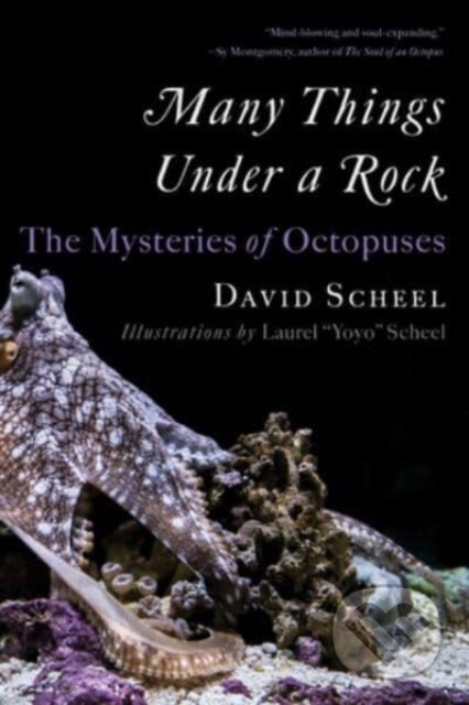 Kniha: Many Things Under a Rock (David Scheel). W. W. Norton & Company, 2024 Kniha: Many Things Under a Rock (David Scheel). W. W. Norton & Company, 2024