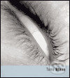 Kniha: Tono Stano (Magdalena Juříková a Tono Stano). Torst, 2005 Kniha: Tono Stano (Magdalena Juříková a Tono Stano). Torst, 2005