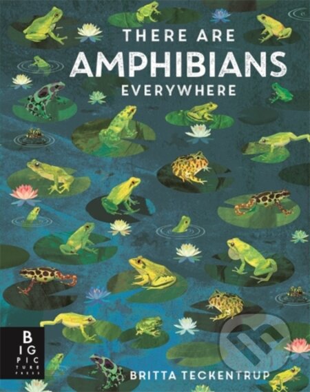 Kniha: There Are Amphibians Everywhere (Camilla de la Bedoyere). Bonnier Books, 2026 Kniha: There Are Amphibians Everywhere (Camilla de la Bedoyere). Bonnier Books, 2026