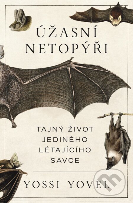 E-kniha: Úžasní netopýři (Yosef Yovel). X Nakladatelství Universum, 2026 E-kniha: Úžasní netopýři (Yosef Yovel). X Nakladatelství Universum, 2026