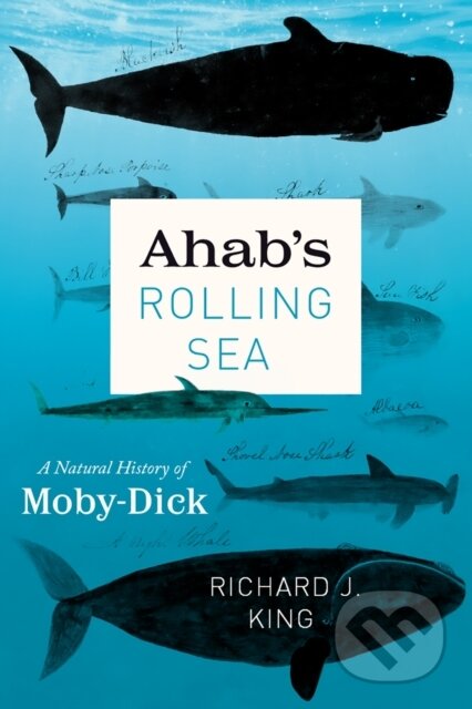Kniha: Ahab's Rolling Sea (Richard J King). University of Chicago, 2021 Kniha: Ahab's Rolling Sea (Richard J King). University of Chicago, 2021