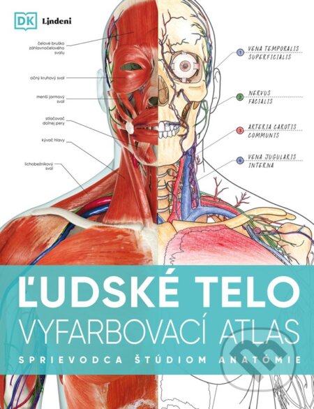 Kniha: Ľudské telo - vyfarbovací atlas (Lindeni). Lindeni, 2026 Kniha: Ľudské telo - vyfarbovací atlas (Lindeni). Lindeni, 2026
