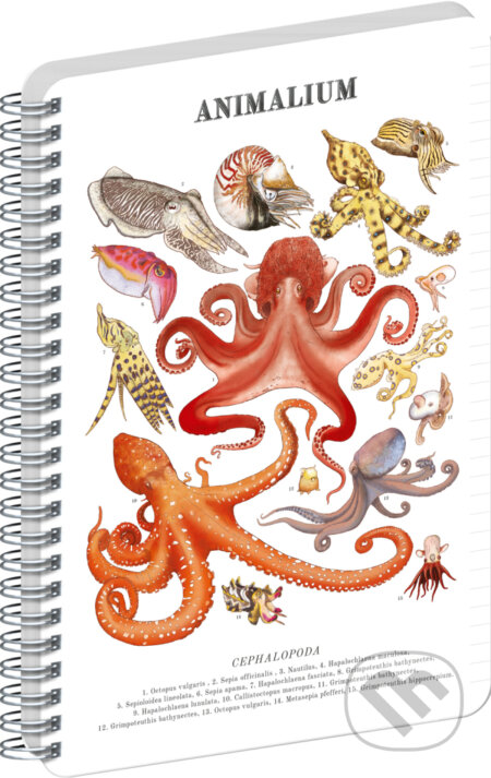 NOTIQUE Špirálový blok Animalium – Hlavonožce (Notique). Notique, 2026 NOTIQUE Špirálový blok Animalium – Hlavonožce (Notique). Notique, 2026