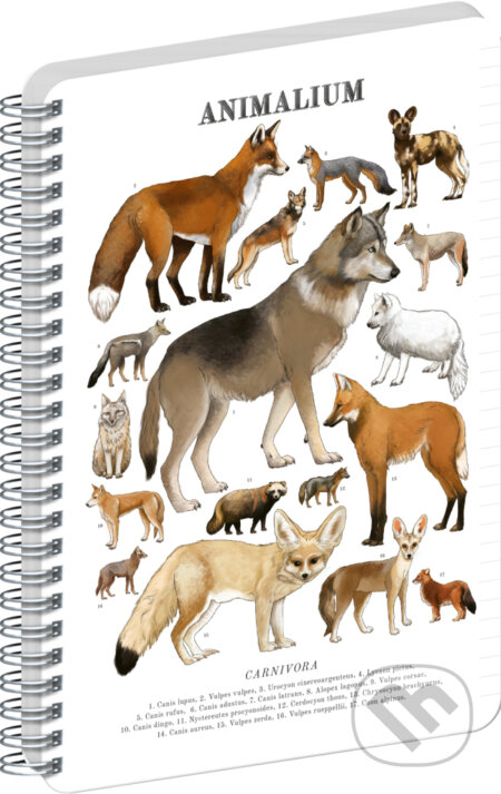NOTIQUE Špirálový blok Animalium – Psovité šelmy (Notique). Notique, 2026 NOTIQUE Špirálový blok Animalium – Psovité šelmy (Notique). Notique, 2026