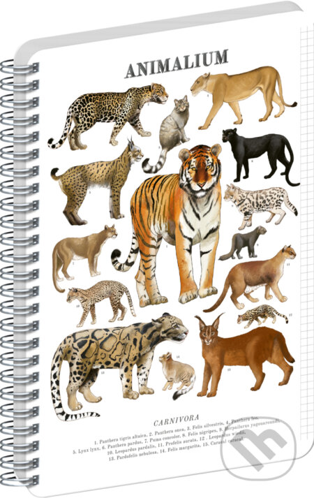 NOTIQUE Špirálový blok Animalium – Mačkovité šelmy (Notique). Notique, 2026 NOTIQUE Špirálový blok Animalium – Mačkovité šelmy (Notique). Notique, 2026