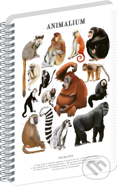 NOTIQUE Špirálový blok Animalium – Primáty (Notique). Notique, 2026 NOTIQUE Špirálový blok Animalium – Primáty (Notique). Notique, 2026
