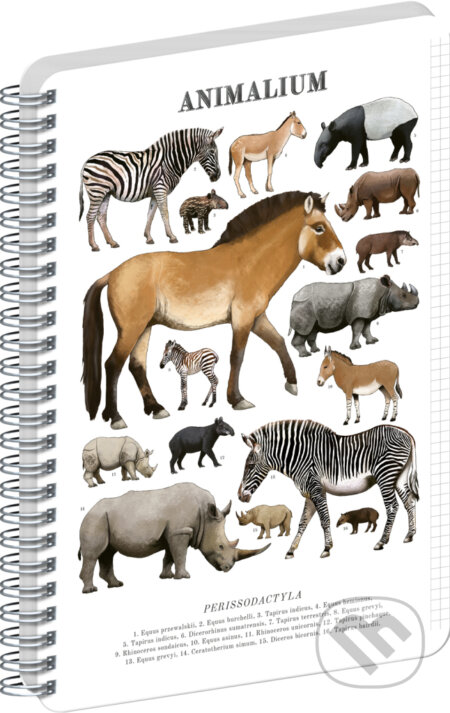 NOTIQUE Špirálový blok Animalium – Nepárnokopytníky (Notique). Notique, 2026 NOTIQUE Špirálový blok Animalium – Nepárnokopytníky (Notique). Notique, 2026