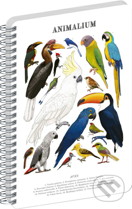 NOTIQUE Špirálový blok Animalium – Vtáky (Notique). Notique, 2026 NOTIQUE Špirálový blok Animalium – Vtáky (Notique). Notique, 2026