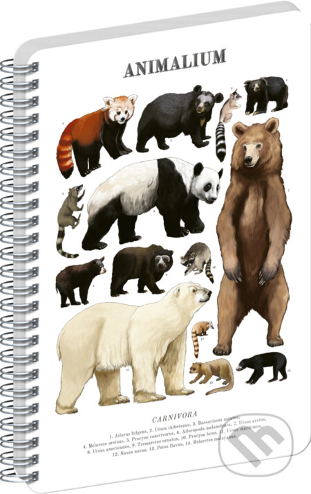 NOTIQUE Špirálový blok Animalium – Medveďovité šelmy (Notique). Notique, 2026 NOTIQUE Špirálový blok Animalium – Medveďovité šelmy (Notique). Notique, 2026