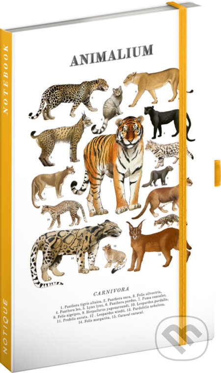 NOTIQUE Notes Animalium – Mačkovité šelmy (Notique). Notique, 2026 NOTIQUE Notes Animalium – Mačkovité šelmy (Notique). Notique, 2026