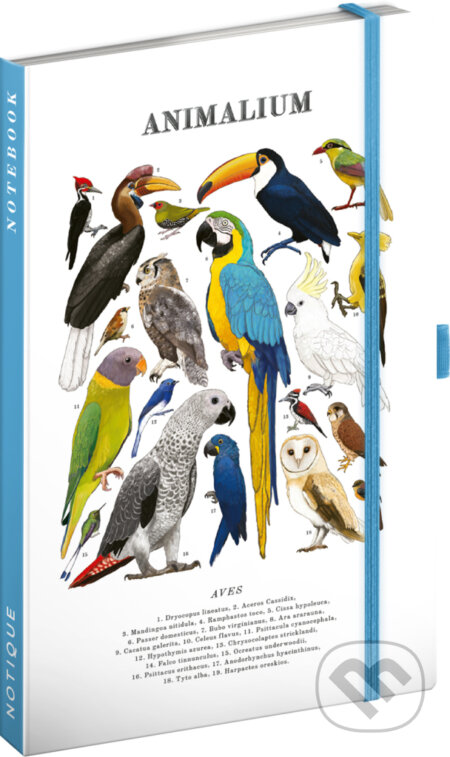 NOTIQUE Notes Animalium – Vtáky (Notique). Notique, 2026 NOTIQUE Notes Animalium – Vtáky (Notique). Notique, 2026