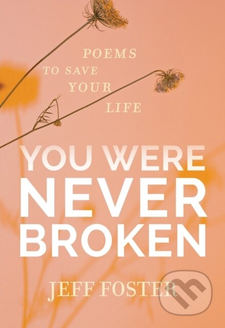 Kniha: You Were Never Broken (Jeff Foster). Sounds True, 2020 Kniha: You Were Never Broken (Jeff Foster). Sounds True, 2020