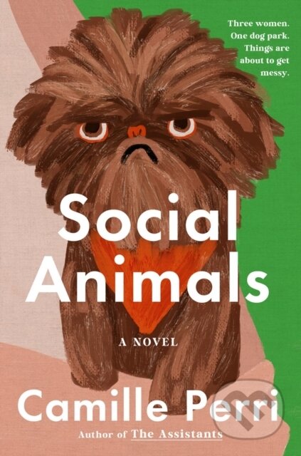 Kniha: Social Animals (Camille Perri). G P Putnam's Sons, 2026 Kniha: Social Animals (Camille Perri). G P Putnam's Sons, 2026