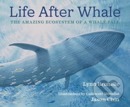Kniha: Life After Whale (Lynn Brunelle). Holiday house, 2024 Kniha: Life After Whale (Lynn Brunelle). Holiday house, 2024