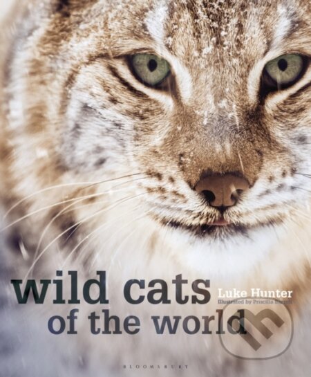 Kniha: Wild Cats of the World (Hunter Luke). Bloomsbury, 2019 Kniha: Wild Cats of the World (Hunter Luke). Bloomsbury, 2019