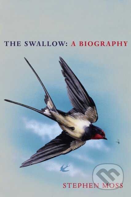 Kniha: The Swallow (Stephen Moss). Square Peg, 2020 Kniha: The Swallow (Stephen Moss). Square Peg, 2020