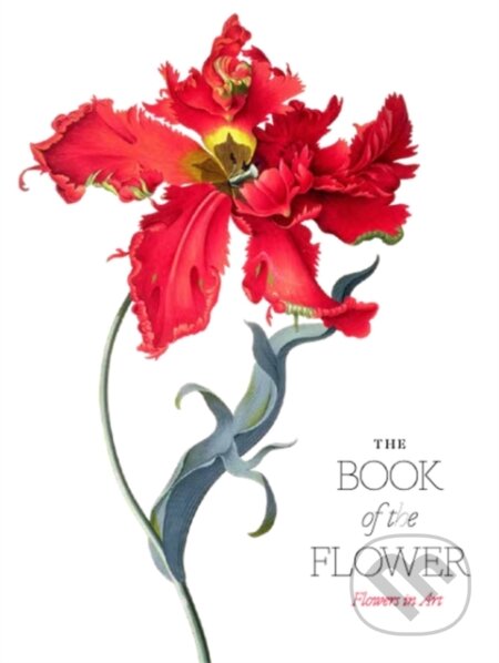 Kniha: The Book of the Flower (Angus Hyland a Kendra Wilson). Laurence King Publishing, 2019 Kniha: The Book of the Flower (Angus Hyland a Kendra Wilson). Laurence King Publishing, 2019