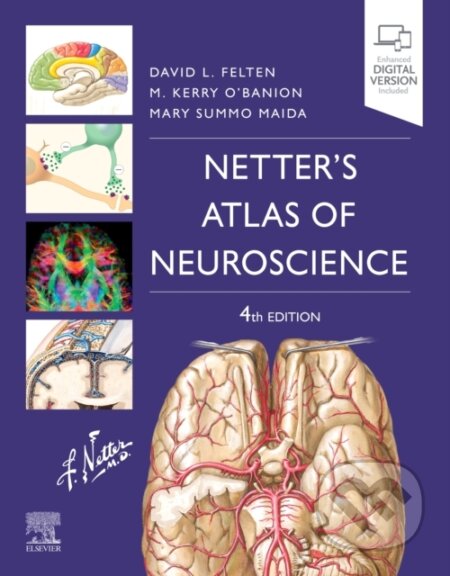 Kniha: Netter's Atlas of Neuroscience (David L., MD, PhD Felten, Michael K., M.D., Ph.D. O'Banion, Mary Summo a PhD Maida). Elsevier Science, 2021 Kniha: Netter's Atlas of Neuroscience (David L., MD, PhD Felten, Michael K., M.D., Ph.D. O'Banion, Mary Summo a PhD Maida). Elsevier Science, 2021