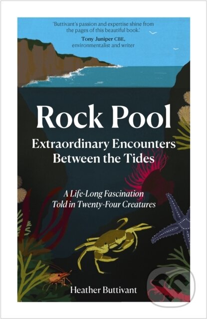 Kniha: Rock Pool (Heather Buttivant). September Publishing, 2019 Kniha: Rock Pool (Heather Buttivant). September Publishing, 2019