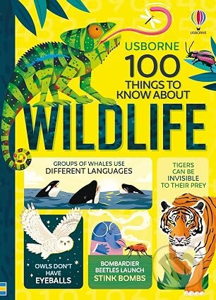 Kniha: 100 Things to Know About Wildlife (Alice James). Usborne, 2026 Kniha: 100 Things to Know About Wildlife (Alice James). Usborne, 2026