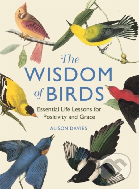 Kniha: The Wisdom of Birds (Alison Davies). , 2024 Kniha: The Wisdom of Birds (Alison Davies). , 2024
