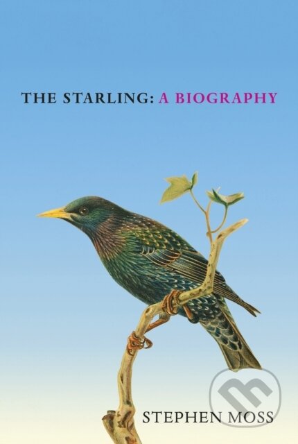 Kniha: The Starling (Stephen Moss). Square Peg, 2024 Kniha: The Starling (Stephen Moss). Square Peg, 2024