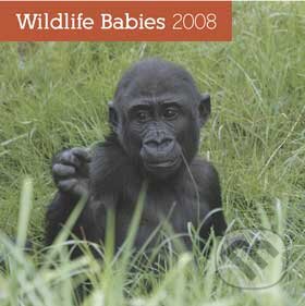 Wildlife Babies 2008, Presco Group, 2007
