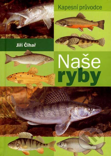 Kniha: Naše ryby (Jiří Čihař). Ottovo nakladatelství, 2003 Kniha: Naše ryby (Jiří Čihař). Ottovo nakladatelství, 2003